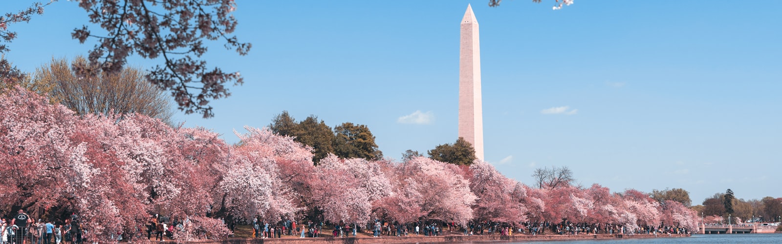 Washington DC skyline